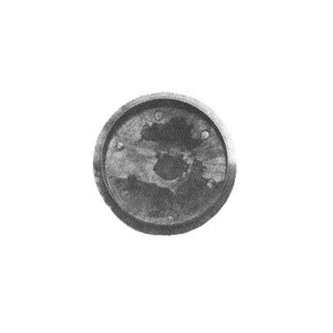 SP.OTT.FOR. TIPO REX BECCHI UR. - L4417 - immagine 1